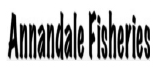 Sponsor logo 21